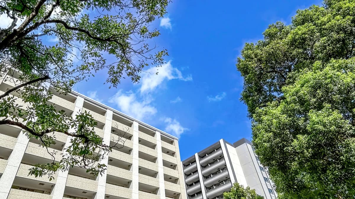 緑の街路樹と見上げた先のマンション