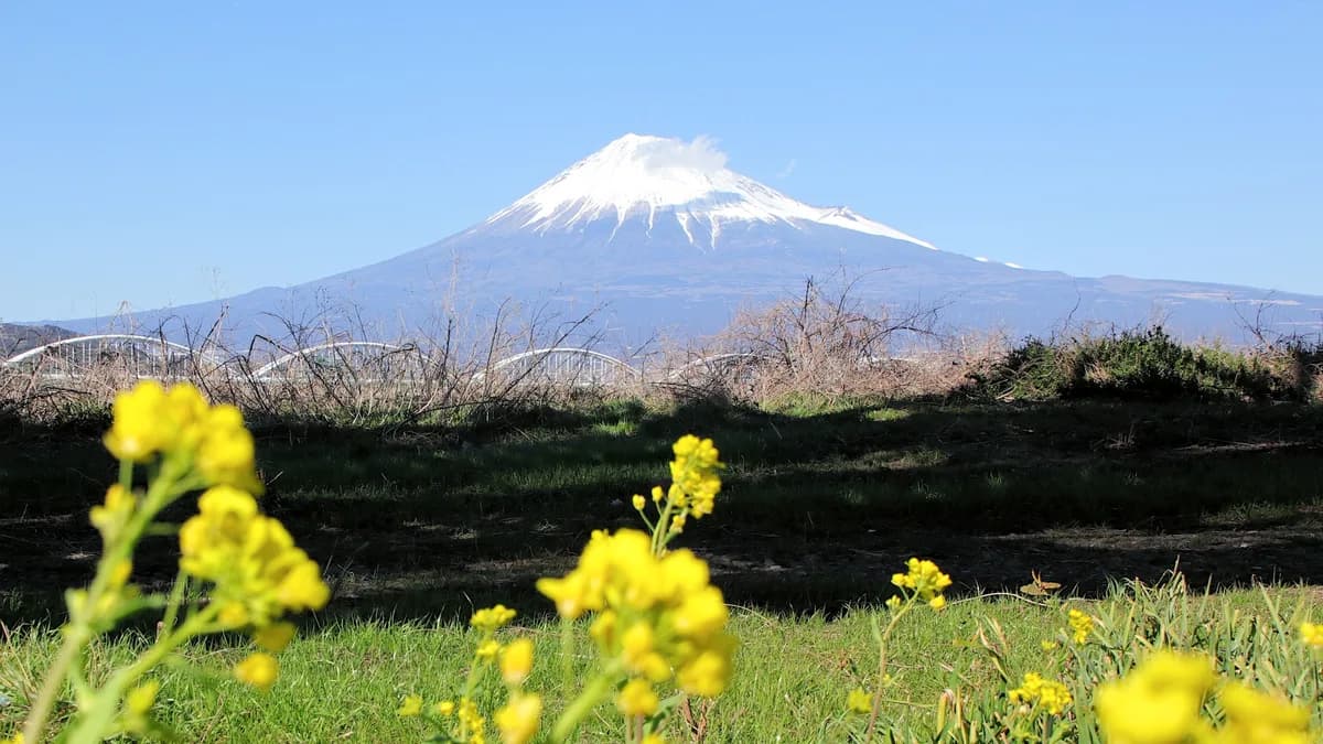 東海道新幹線富士川橋梁下から望む富士山